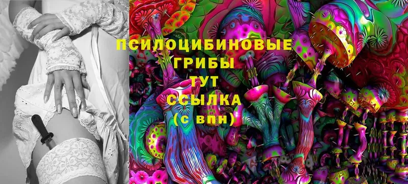 Галлюциногенные грибы Psilocybine cubensis  OMG tor  Белоярский 